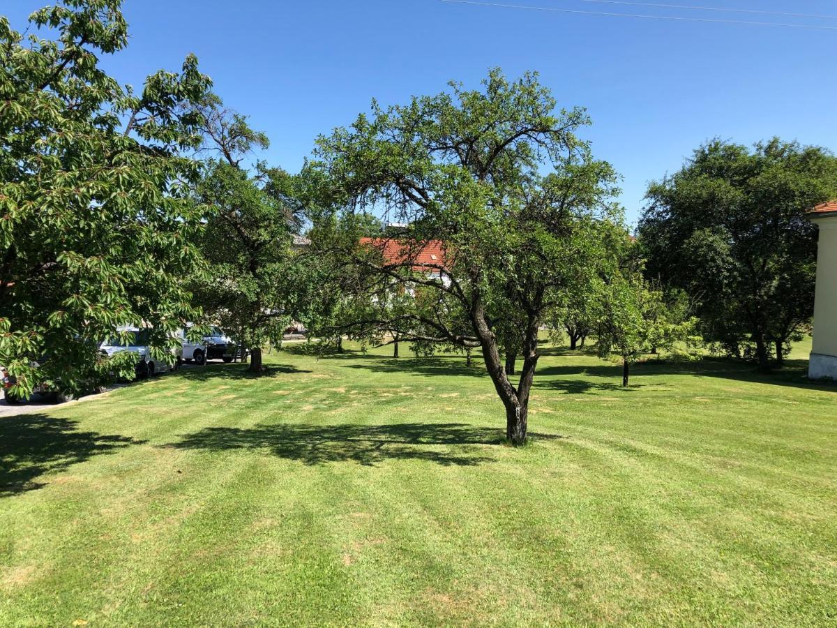 Gasthof Koller Mariasdorf Zewnętrze zdjęcie